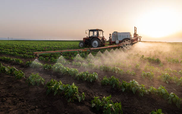 Best Pest Removal Services  in Burgin, KY
