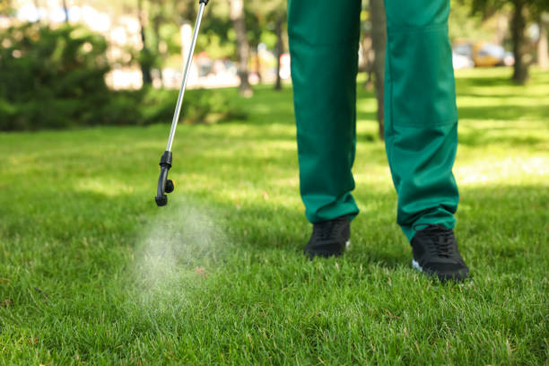 Best Best Pest Control Companies  in Burgin, KY