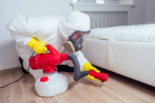 Best Affordable Pest Control Services  in Burgin, KY