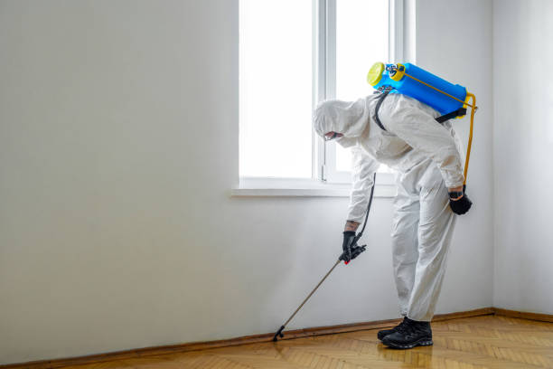 Best Termite Control Services  in Burgin, KY