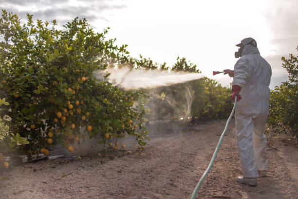 Best Wildlife Control Services  in Burgin, KY