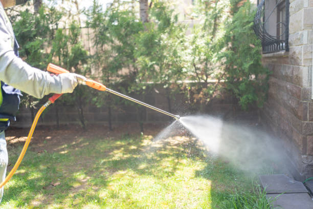 Best Local Pest Control Services  in Burgin, KY