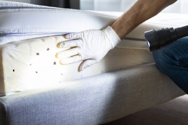 Best Affordable Exterminators  in Burgin, KY