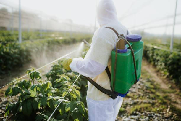 Best Wasp Removal Services  in Burgin, KY